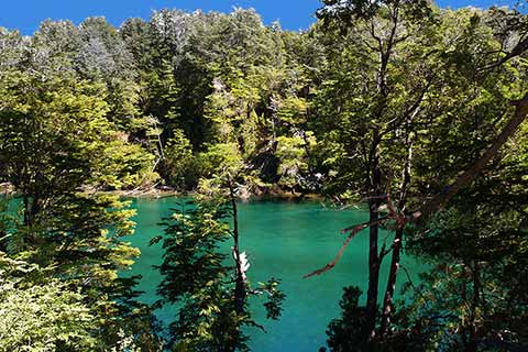 Río Arrayanes en el Parque Nacional Los Alerces